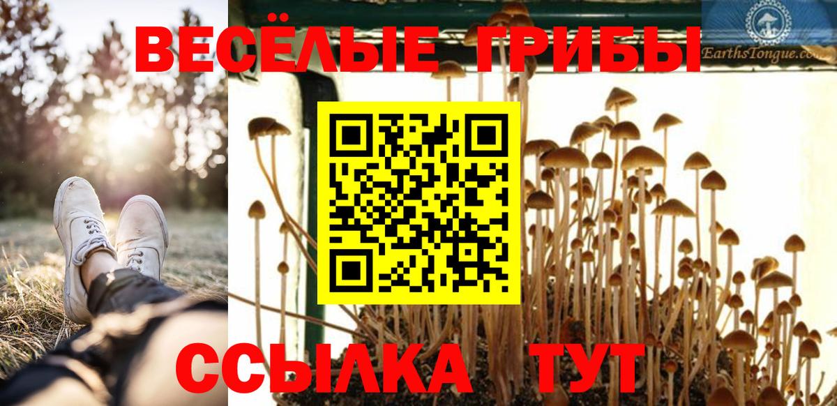 Галлюциногенные грибы прущие грибы  Вход с VPN  Истра  Галлюциногенные грибы мицелий 